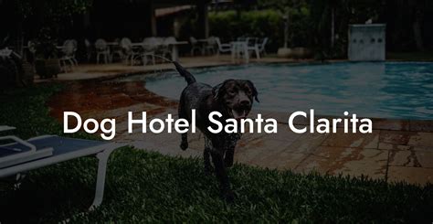 dog-friendly suites in santa clarita|Dog Friendly Santa Clarita, CA .